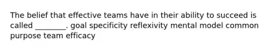 The belief that effective teams have in their ability to succeed is called ________. goal specificity reflexivity mental model common purpose team efficacy