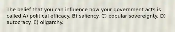 The belief that you can influence how your government acts is called A) political efficacy. B) saliency. C) popular sovereignty. D) autocracy. E) oligarchy.