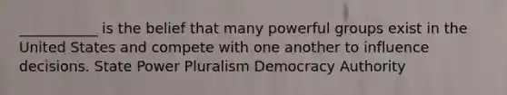 ___________ is the belief that many powerful groups exist in the United States and compete with one another to influence decisions. State Power Pluralism Democracy Authority