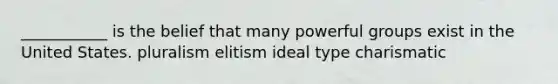 ___________ is the belief that many powerful groups exist in the United States. pluralism elitism ideal type charismatic