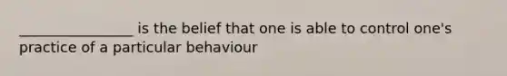 ________________ is the belief that one is able to control one's practice of a particular behaviour