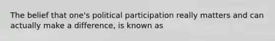 The belief that one's political participation really matters and can actually make a difference, is known as