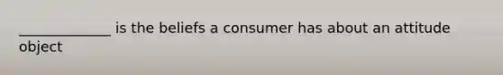 _____________ is the beliefs a consumer has about an attitude object