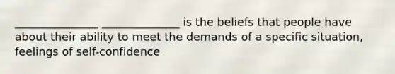 _______________ ______________ is the beliefs that people have about their ability to meet the demands of a specific situation, feelings of self-confidence