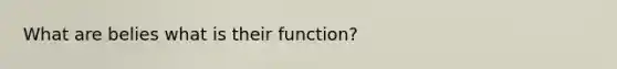 What are belies what is their function?