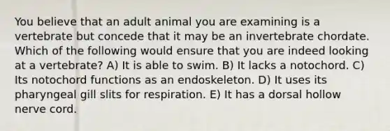 You believe that an adult animal you are examining is a vertebrate but concede that it may be an invertebrate chordate. Which of the following would ensure that you are indeed looking at a vertebrate? A) It is able to swim. B) It lacks a notochord. C) Its notochord functions as an endoskeleton. D) It uses its pharyngeal gill slits for respiration. E) It has a dorsal hollow nerve cord.