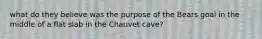 what do they believe was the purpose of the Bears goal in the middle of a flat slab in the Chauvet cave?