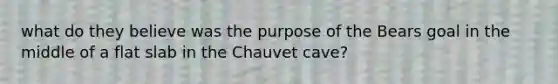 what do they believe was the purpose of the Bears goal in the middle of a flat slab in the Chauvet cave?