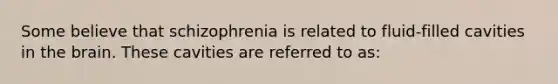 Some believe that schizophrenia is related to fluid-filled cavities in the brain. These cavities are referred to as: