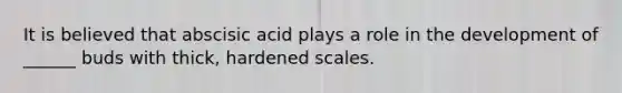 It is believed that abscisic acid plays a role in the development of ______ buds with thick, hardened scales.