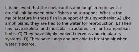 It is believed that the coelacanths and lungfish represent a crucial link between other fishes and tetrapods. What is the major feature in these fish in support of this hypothesis? A) Like amphibians, they are tied to the water for reproduction. B) Their fins have skeletal and muscular structures similar to amphibian limbs. C) They have highly evolved nervous and <a href='https://www.questionai.com/knowledge/kBP5NsQCWH-circulatory-systems' class='anchor-knowledge'>circulatory systems</a>. D) They have lungs and are able to breathe air when water is scarce.