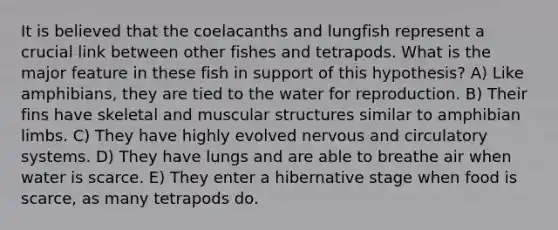 It is believed that the coelacanths and lungfish represent a crucial link between other fishes and tetrapods. What is the major feature in these fish in support of this hypothesis? A) Like amphibians, they are tied to the water for reproduction. B) Their fins have skeletal and muscular structures similar to amphibian limbs. C) They have highly evolved nervous and circulatory systems. D) They have lungs and are able to breathe air when water is scarce. E) They enter a hibernative stage when food is scarce, as many tetrapods do.