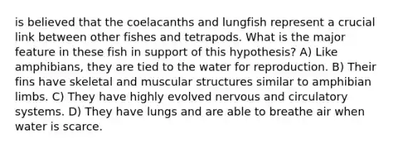 is believed that the coelacanths and lungfish represent a crucial link between other fishes and tetrapods. What is the major feature in these fish in support of this hypothesis? A) Like amphibians, they are tied to the water for reproduction. B) Their fins have skeletal and muscular structures similar to amphibian limbs. C) They have highly evolved nervous and circulatory systems. D) They have lungs and are able to breathe air when water is scarce.