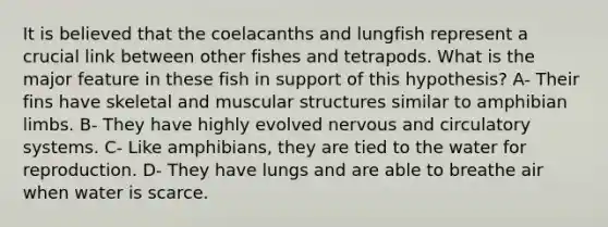 It is believed that the coelacanths and lungfish represent a crucial link between other fishes and tetrapods. What is the major feature in these fish in support of this hypothesis? A- Their fins have skeletal and muscular structures similar to amphibian limbs. B- They have highly evolved nervous and <a href='https://www.questionai.com/knowledge/kBP5NsQCWH-circulatory-systems' class='anchor-knowledge'>circulatory systems</a>. C- Like amphibians, they are tied to the water for reproduction. D- They have lungs and are able to breathe air when water is scarce.