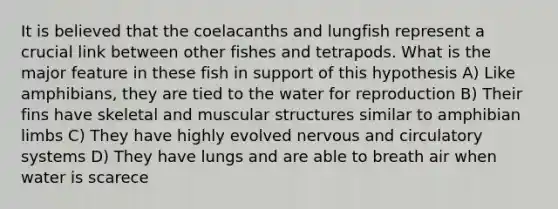 It is believed that the coelacanths and lungfish represent a crucial link between other fishes and tetrapods. What is the major feature in these fish in support of this hypothesis A) Like amphibians, they are tied to the water for reproduction B) Their fins have skeletal and muscular structures similar to amphibian limbs C) They have highly evolved nervous and <a href='https://www.questionai.com/knowledge/kBP5NsQCWH-circulatory-systems' class='anchor-knowledge'>circulatory systems</a> D) They have lungs and are able to breath air when water is scarece