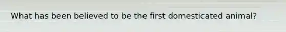 What has been believed to be the first domesticated animal?