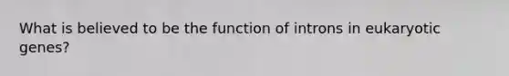 What is believed to be the function of introns in eukaryotic genes?