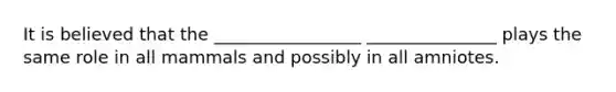 It is believed that the _________________ _______________ plays the same role in all mammals and possibly in all amniotes.