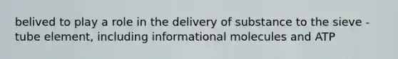 belived to play a role in the delivery of substance to the sieve - tube element, including informational molecules and ATP