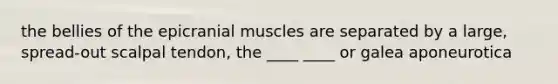 the bellies of the epicranial muscles are separated by a large, spread-out scalpal tendon, the ____ ____ or galea aponeurotica