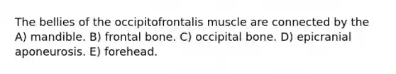 The bellies of the occipitofrontalis muscle are connected by the A) mandible. B) frontal bone. C) occipital bone. D) epicranial aponeurosis. E) forehead.