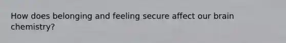How does belonging and feeling secure affect our brain chemistry?