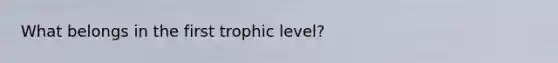 What belongs in the first trophic level?