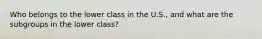 Who belongs to the lower class in the U.S., and what are the subgroups in the lower class?