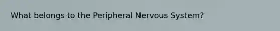 What belongs to the Peripheral Nervous System?