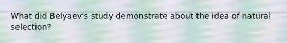 What did Belyaev's study demonstrate about the idea of natural selection?