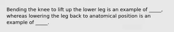 Bending the knee to lift up the lower leg is an example of _____, whereas lowering the leg back to anatomical position is an example of _____.