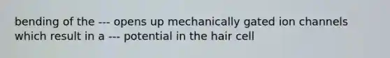 bending of the --- opens up mechanically gated ion channels which result in a --- potential in the hair cell