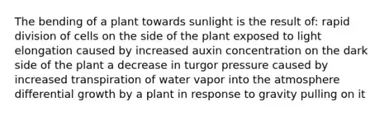 The bending of a plant towards sunlight is the result of: rapid division of cells on the side of the plant exposed to light elongation caused by increased auxin concentration on the dark side of the plant a decrease in turgor pressure caused by increased transpiration of water vapor into the atmosphere differential growth by a plant in response to gravity pulling on it