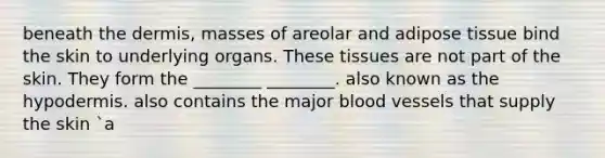 beneath the dermis, masses of areolar and adipose tissue bind the skin to underlying organs. These tissues are not part of the skin. They form the ________ ________. also known as the hypodermis. also contains the major blood vessels that supply the skin `a