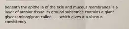 beneath the epithelia of the skin and mucous membranes is a layer of areolar tissue Its ground substance contains a giant glycosaminoglycan called . . . which gives it a viscous consistency