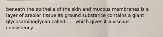 beneath the epithelia of the skin and mucous membranes is a layer of areolar tissue Its ground substance contains a giant glycosaminoglycan called . . . which gives it a viscous consistency