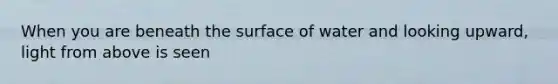 When you are beneath the surface of water and looking upward, light from above is seen