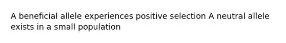 A beneficial allele experiences positive selection A neutral allele exists in a small population