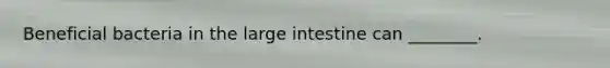 Beneficial bacteria in the large intestine can ________.