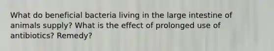 What do beneficial bacteria living in the <a href='https://www.questionai.com/knowledge/kGQjby07OK-large-intestine' class='anchor-knowledge'>large intestine</a> of animals supply? What is the effect of prolonged use of antibiotics? Remedy?