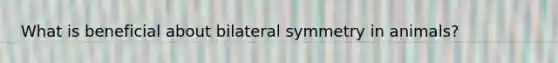 What is beneficial about bilateral symmetry in animals?