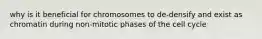 why is it beneficial for chromosomes to de-densify and exist as chromatin during non-mitotic phases of the cell cycle