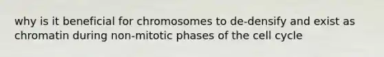 why is it beneficial for chromosomes to de-densify and exist as chromatin during non-mitotic phases of the <a href='https://www.questionai.com/knowledge/keQNMM7c75-cell-cycle' class='anchor-knowledge'>cell cycle</a>