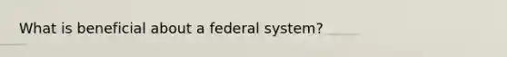 What is beneficial about a federal system?