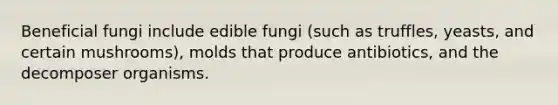 Beneficial fungi include edible fungi (such as truffles, yeasts, and certain mushrooms), molds that produce antibiotics, and the decomposer organisms.