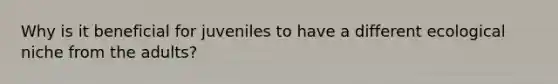 Why is it beneficial for juveniles to have a different ecological niche from the adults?