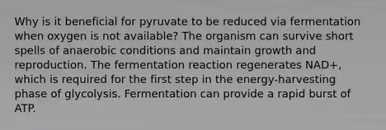 Why is it beneficial for pyruvate to be reduced via fermentation when oxygen is not available? The organism can survive short spells of anaerobic conditions and maintain growth and reproduction. The fermentation reaction regenerates NAD+, which is required for the first step in the energy-harvesting phase of glycolysis. Fermentation can provide a rapid burst of ATP.