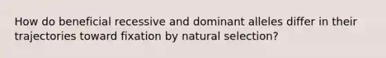 How do beneficial recessive and dominant alleles differ in their trajectories toward fixation by natural selection?