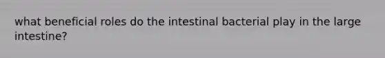 what beneficial roles do the intestinal bacterial play in the large intestine?