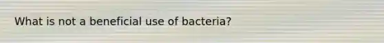 What is not a beneficial use of bacteria?